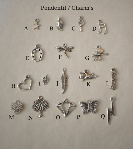 Houten hanger beschilderd in kleuren aan zilveren ketting, te personaliseren