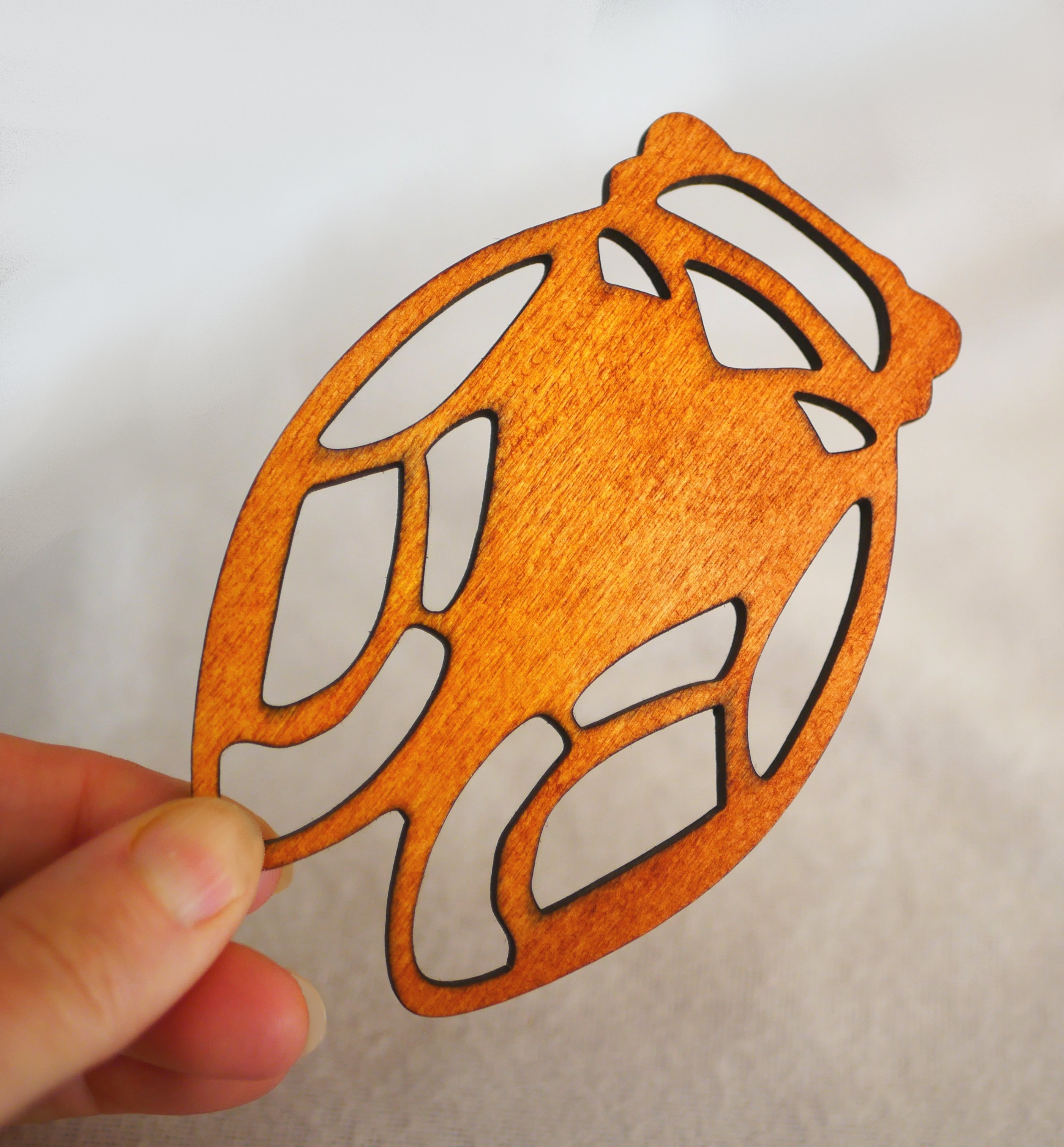 5 Cicade houten plaatskaartjes om te personaliseren met je naam