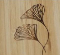 Ontwerp 5 (Bloemen)